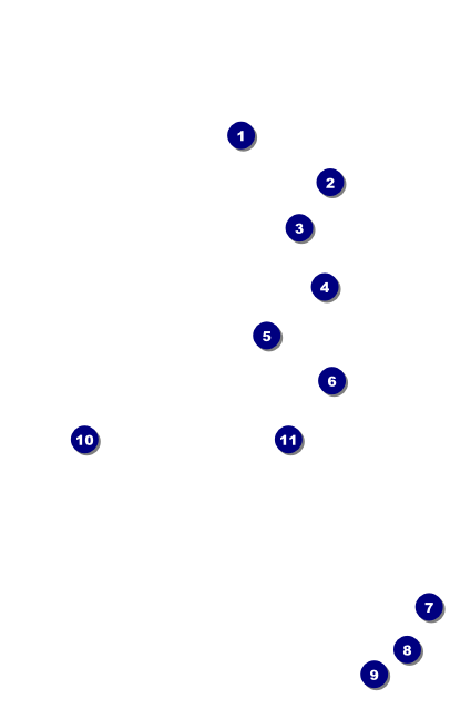 Fourth of July VIP Event Badge Small Front Field Markers