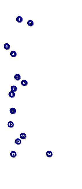 Military Ball - US Flags VIP Event Badge Large Front Field Markers