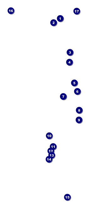 Movie Night VIP Event Badge Large Front Field Markers