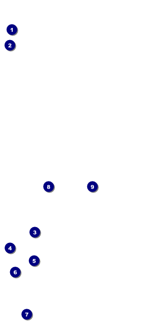 Night Club Neon VIP Event Badge Large Front Field Markers