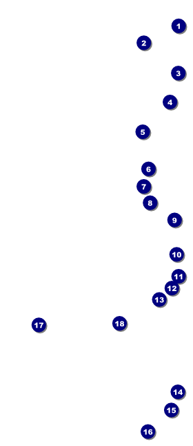 Red Rose VIP Event Badge Large Front Field Markers