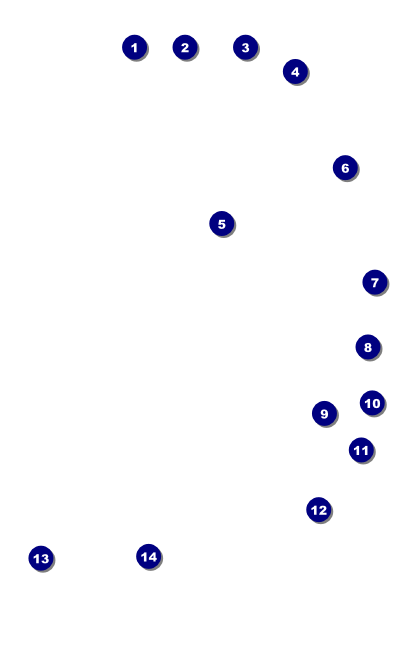 Retro Colors VIP Event Badge Medium Front Field Markers