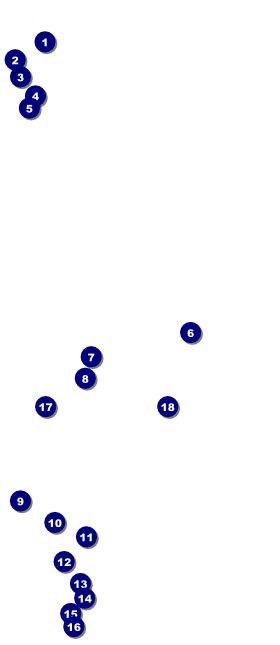 Beer Festival 2 VIP Event Badge Large Front Field Markers