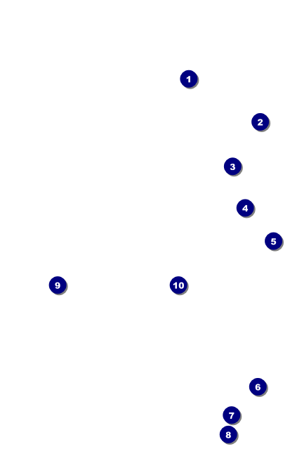 Beer Festival VIP Event Badge Medium Front Field Markers