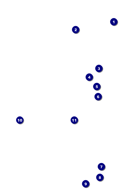 Birthday Geometric VIP Event Badge Medium Front Field Markers