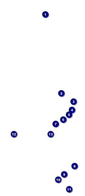 Bollywood VIP Event Badge Large Front Field Markers