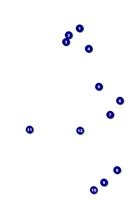 Bollywood VIP Event Badge Small Front Field Markers