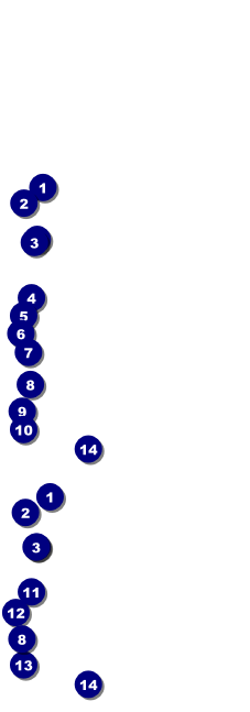 Golden Ornament Event Ticket Front Field Markers
