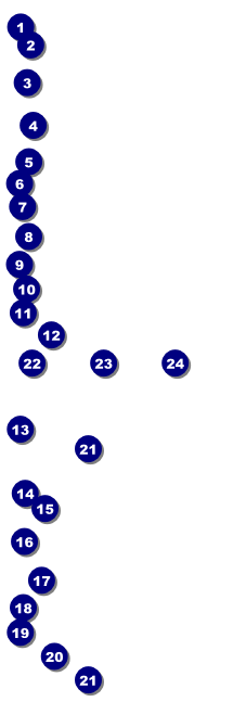 Snowboarding Event Ticket Front Field Markers