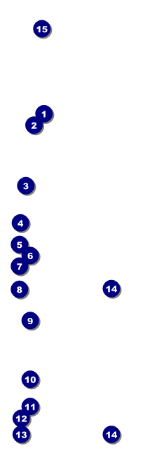 Sweet 16 Event Ticket Front Field Markers