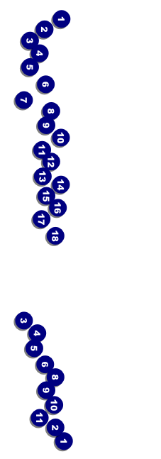 Jazz Concert Event Ticket Front Field Markers