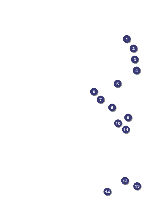 Kansas Invitation Front Field Markers