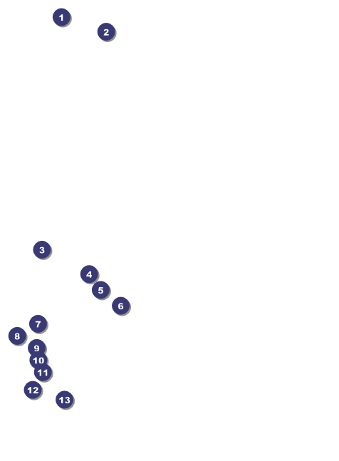 Skating Party Invitation Front Field Markers