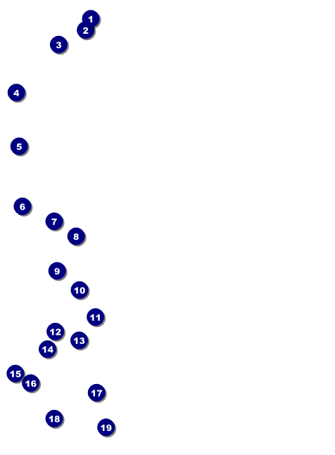 Bucking Bronco Rodeo Invitation Front Field Markers