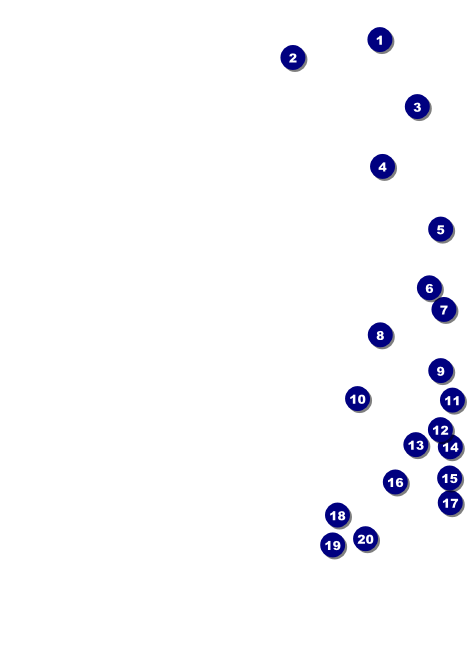 World Food Festival Invitation Front Field Markers
