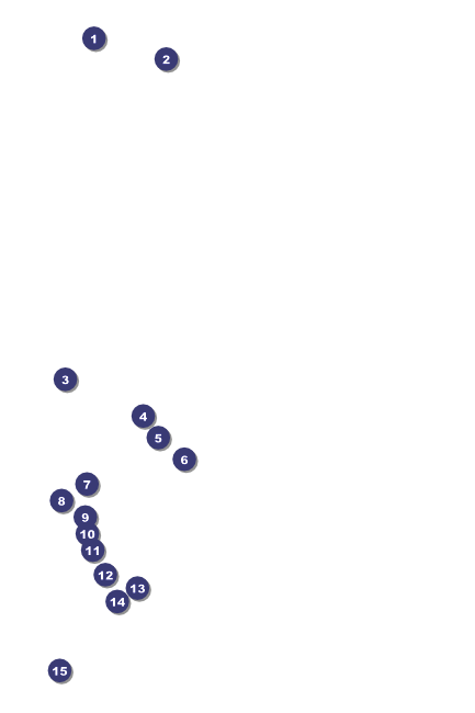 Skating Party Poster Front Field Markers