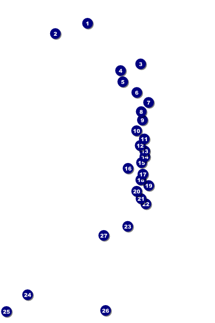 BBQ Kettle Grill Poster Front Field Markers