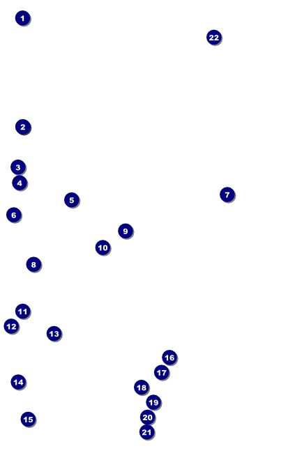 Roller Derby Passing Star Poster Front Field Markers