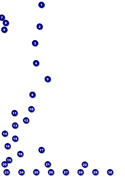 Modern Rodeo Poster Front Field Markers