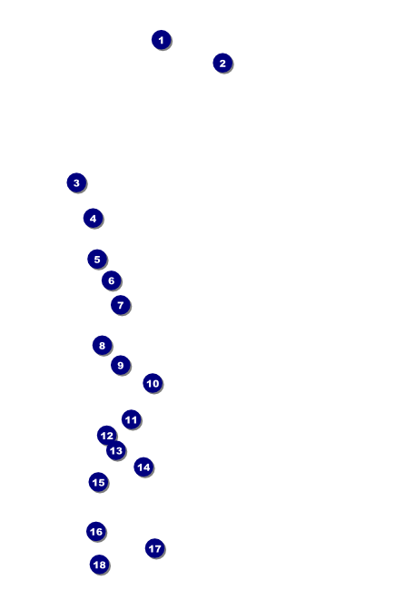 Christmas Bells Poster 001 Front Field Markers