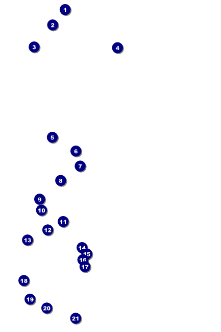 Sports Poster 002 in Green and Black Front Field Markers