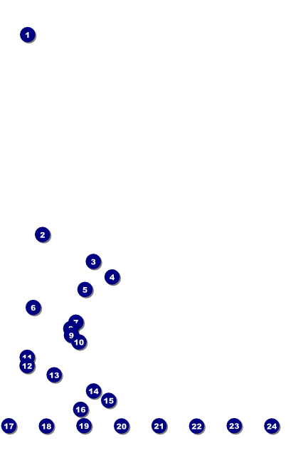 Bon Odori Logo Poster Front Field Markers