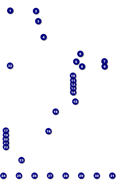 Class Reunion Mascot Green Logo Poster Front Field Markers