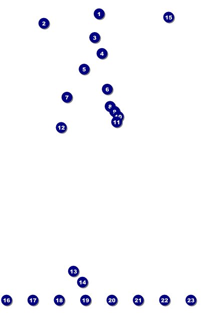 Sacramento Logo Poster Front Field Markers