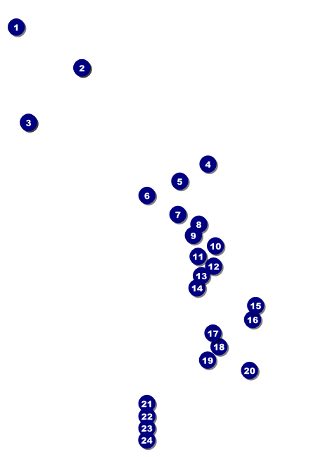 Holiday Tree Postcard Front Field Markers