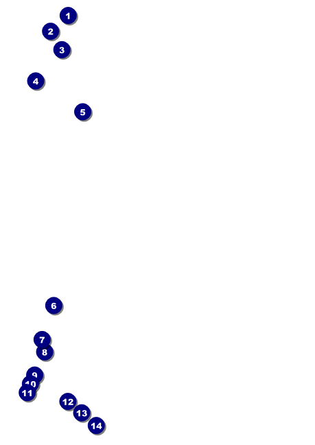 Santa Barbara Postcard Front Field Markers