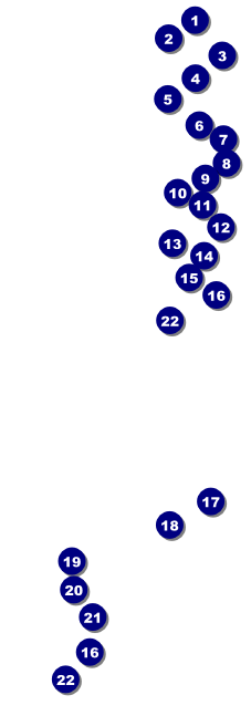 Mas Cervezas Raffle Ticket Front Field Markers