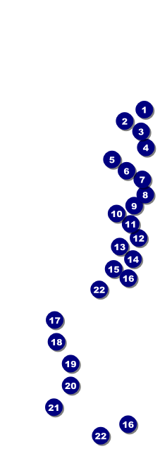 Indiana Raffle Ticket Front Field Markers