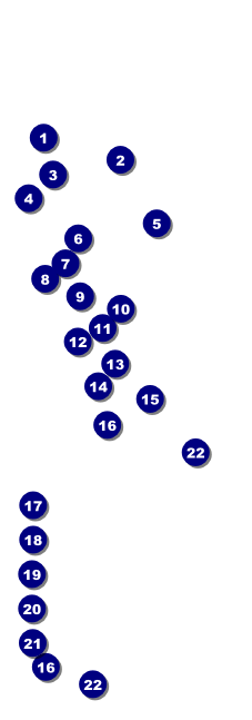 Kentucky Raffle Ticket Front Field Markers