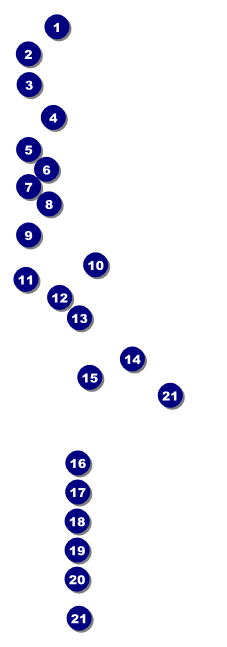 Wedding Classic Raffle Ticket Front Field Markers