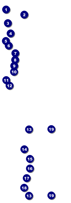 Fundraiser Tree Raffle Ticket Front Field Markers