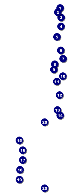Bucking Bronco Rodeo Raffle Ticket Front Field Markers