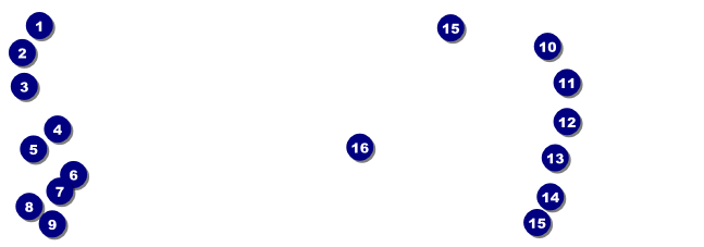 Banjo Raffle Ticket Front Field Markers
