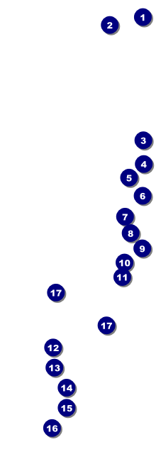 Bon Odori Raffle Ticket Front Field Markers
