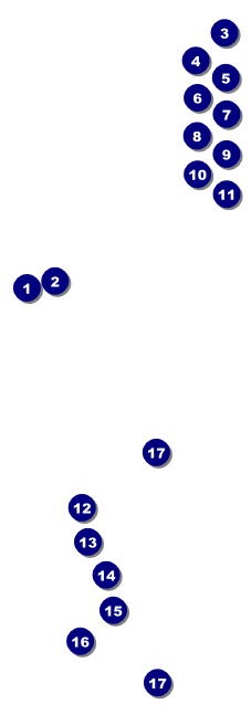 Toronto Raffle Ticket with stub (White) Front Field Markers