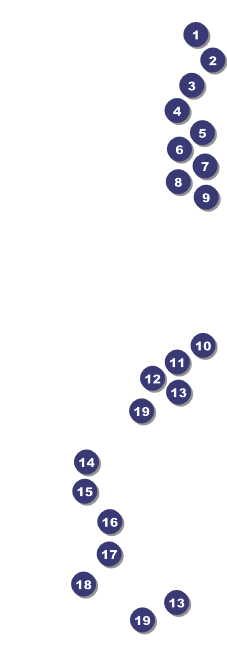 Stock Car Racing Raffle Ticket Front Field Markers