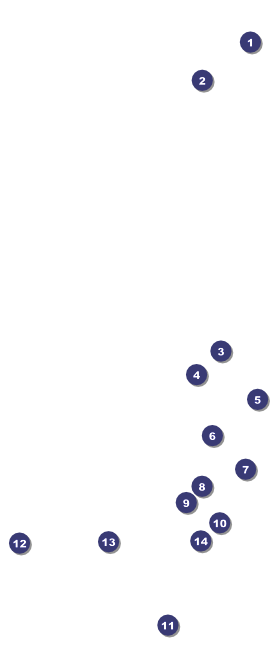LGBT Pride VIP Pass Front Field Markers