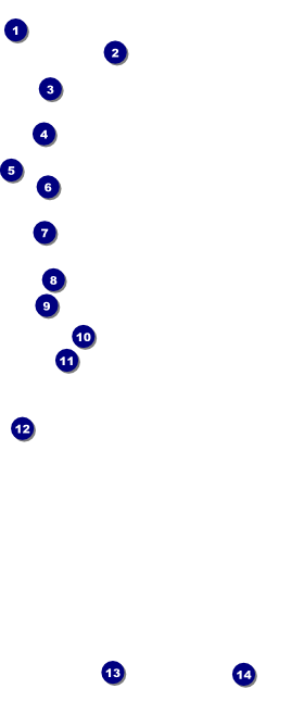 Fundraiser Tree VIP Pass Front Field Markers