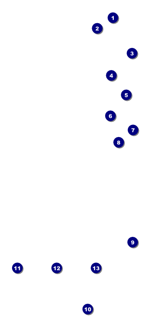 Dandelion VIP Pass Front Field Markers