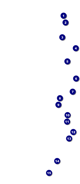 Comedy Spirals VIP Pass Front Field Markers