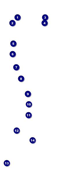 Roaring 20s VIP Pass Front Field Markers