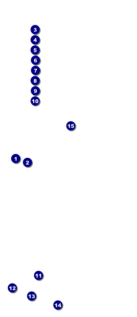 Toronto VIP Pass (Black) Front Field Markers