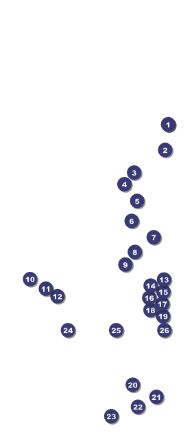 Indy Racing VIP Pass Front Field Markers