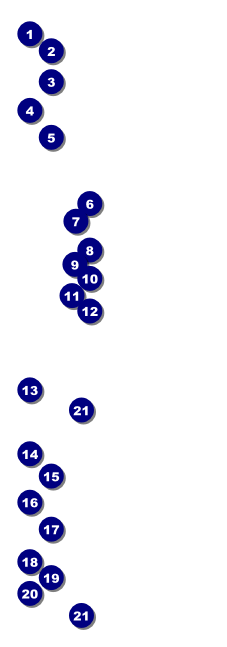 Gymnastics Event Ticket Front Field Markers