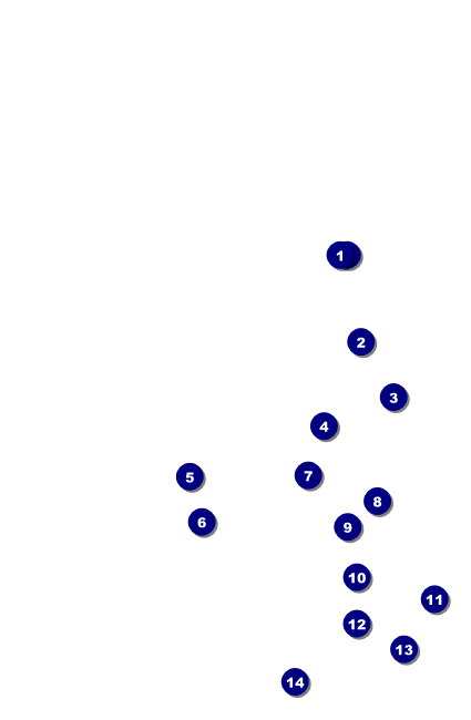 Lacrosse Drink Ticket Front Field Markers