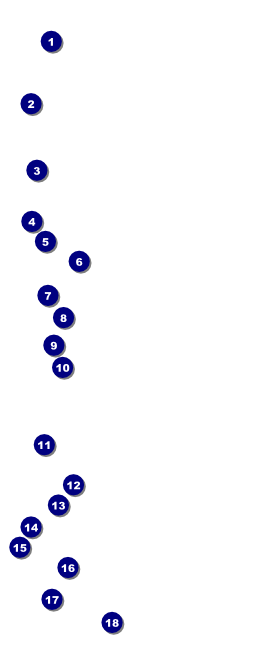 Winter VIP Pass Front Field Markers
